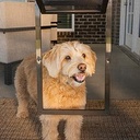 باب شاشة للحيوانات الصغيرة يصل إلى 30 رطلاً  PetSafe