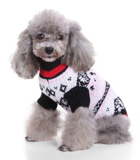 Pets.Love.Earth Bat Pattern Sweater