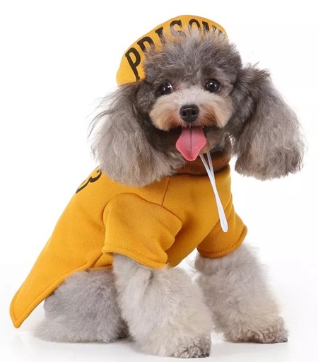 بتس.لوف.إيرث زي السجن الرقمي