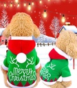 Pets.Love.Earth Merry Christmas Printed Hoodies