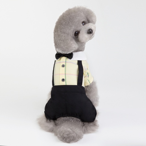 بدلة مع ربطة عنق باللون الأصفر للحيوانات الأليفة من بت لوف إيرث