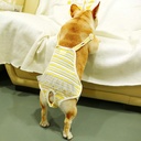 Pets.Love.Earth Physiological Pants Nappies Yellow