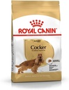 Royal Canin Cocker Adult