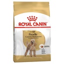 Royal Canin Poodle Adult