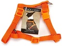 Zack & Zoey Nylon Harness 8-14In Orange