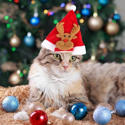 [6083174370159] Pets.Love.Earth Christmas Hat With Elk - 14cm 