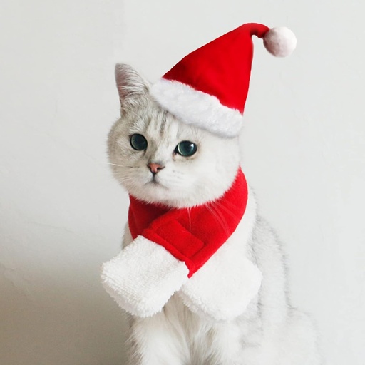 [6083174369924] Pets.Love.Earth Christmas Classic Hat With White Pompom- 17cm 