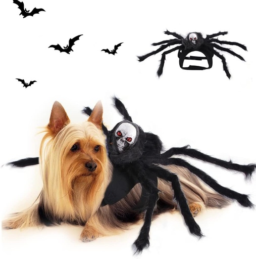Pets.Love.Earth Skull Spider Chest And Back 