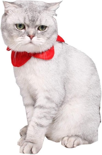 [6083174370364] Pets.Love.Earth Holiday Garland Collar Red and Fuzzy - 15 cm 