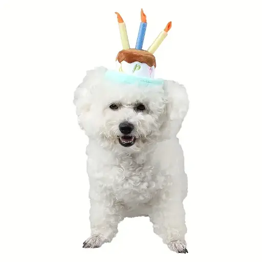 Pets.Love.Earth Birthday Cake Top Hat 