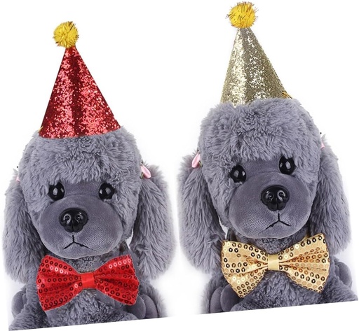 Pets.Love.Earth Party Hat & Bowtie Set 
