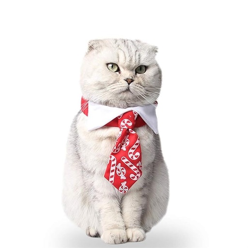 Pets.Love.Earth Holiday Tie And Collar 