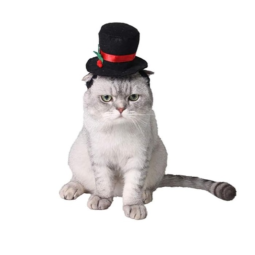 [6083174370326] Pets.Love.Earth Black Top Hat With Christmas Holly - Adjustable 26-30cm 