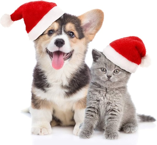 Pets.Love.Earth Pet Christmas Hat 
