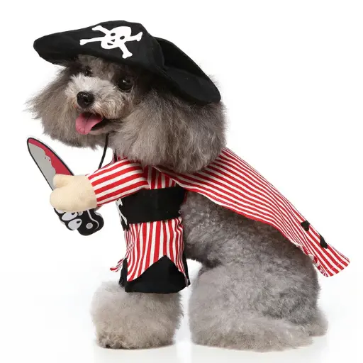 Pets.Love.Earth Vivid Pirate Suit (With Hat) 