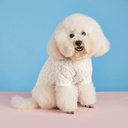 Pets.Love.Earth see-through Tee - White 