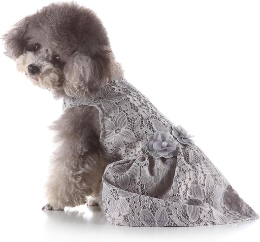 Pets.Love.Earth Lace Dress - Grey 