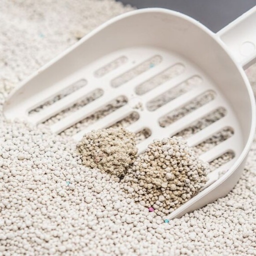 [635934609236-Baby Powder] رمل القطط الأصلي من بيريفي - 10 لتر بودرة أطفال