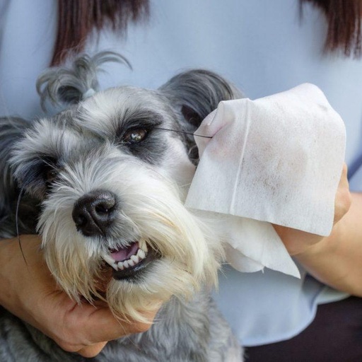 [7332832001706] أول 1 كلين – مناديل تنظيف شاملة – ٦٠ قطعة