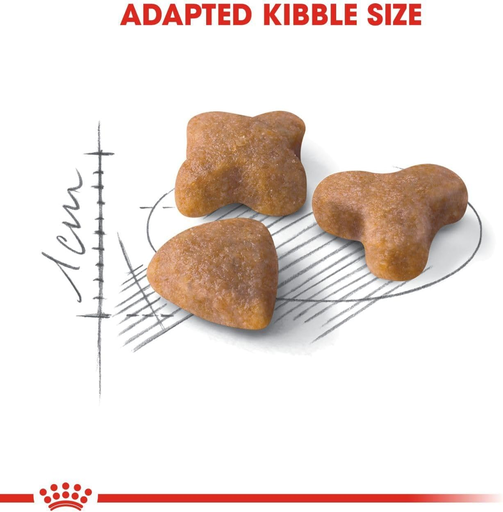 Royal Canin Feline Mother & BabyCat