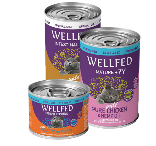 Pet Interest Wellfed Diabetic Support Chicken and Beef with Potatoes and Cellulose Canned Paté