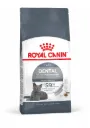 Royal Canin Feline Dental Care / Oral Care