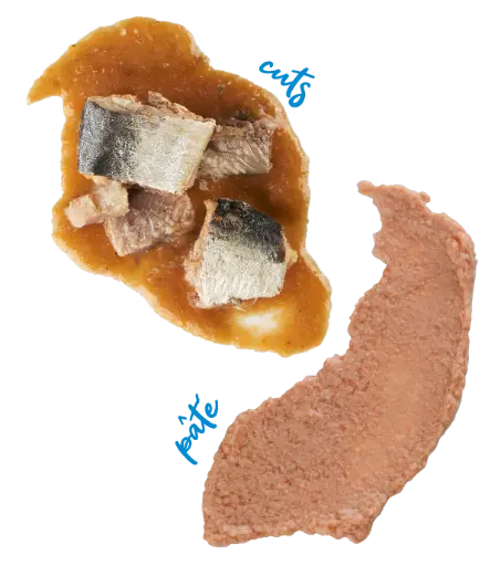 Schesir Can For Cat Sardine in Pate 70g