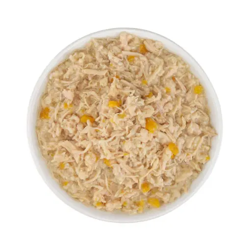 Schesir Silver Can for Cat Chicken in Broth 70g 