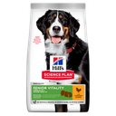 Hill's Science Plan Canine Adult - Large - Mature 6+ Senior Vitality Chicken & Rice 14Kg 